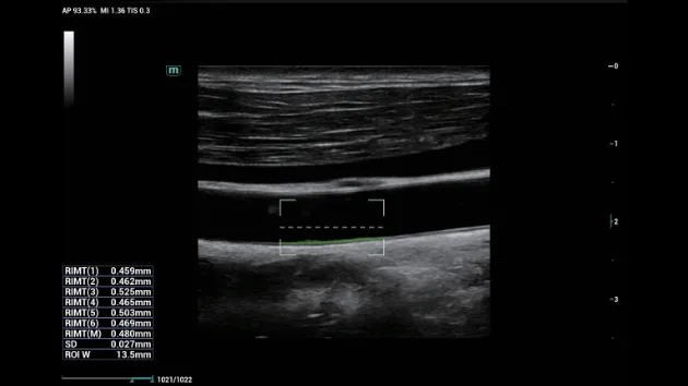 Image 9